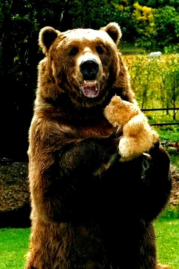  Bart the Bear
