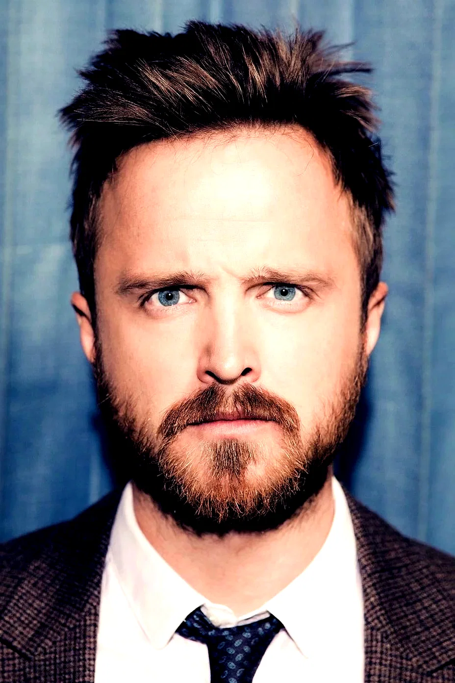 Aaron Paul