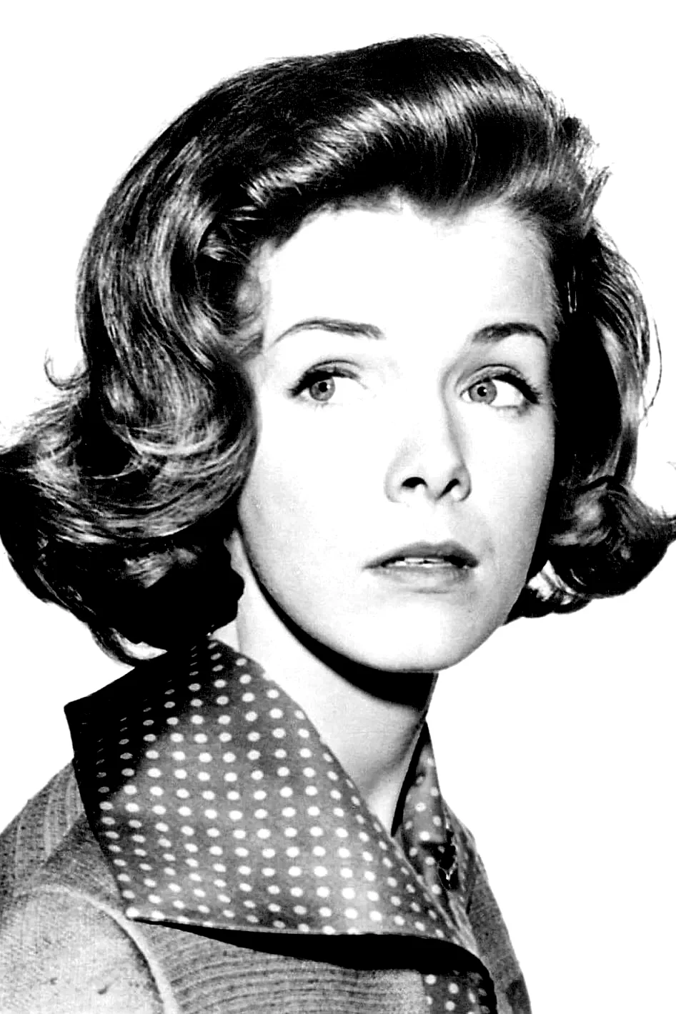  Laraine Stephens
