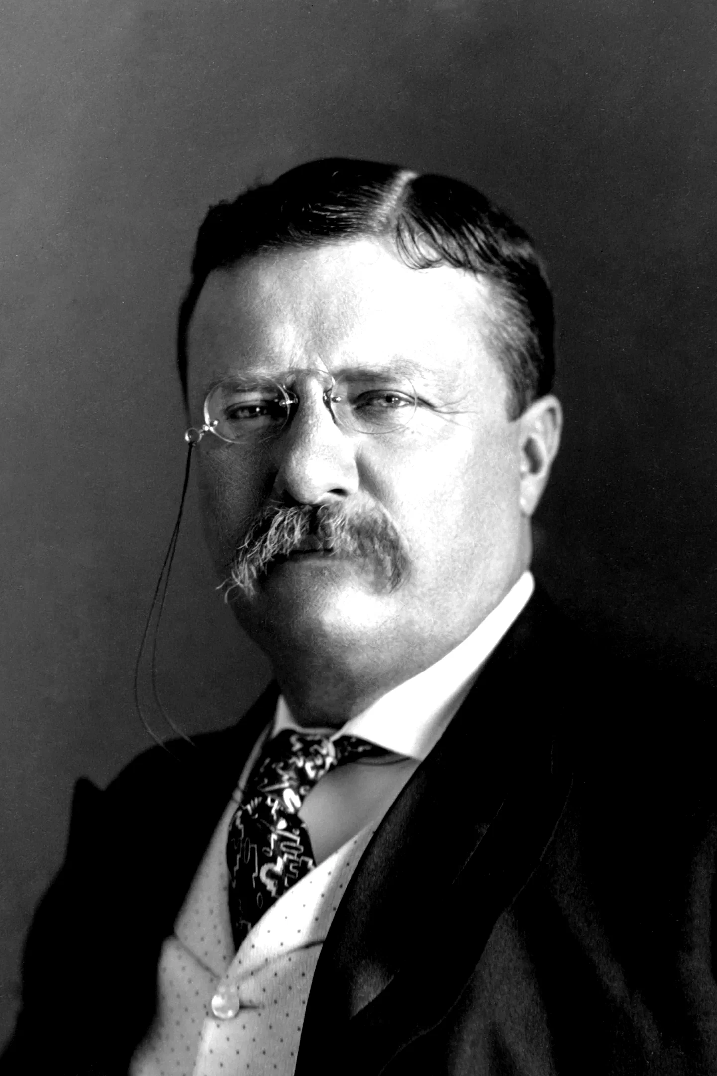  Theodore Roosevelt