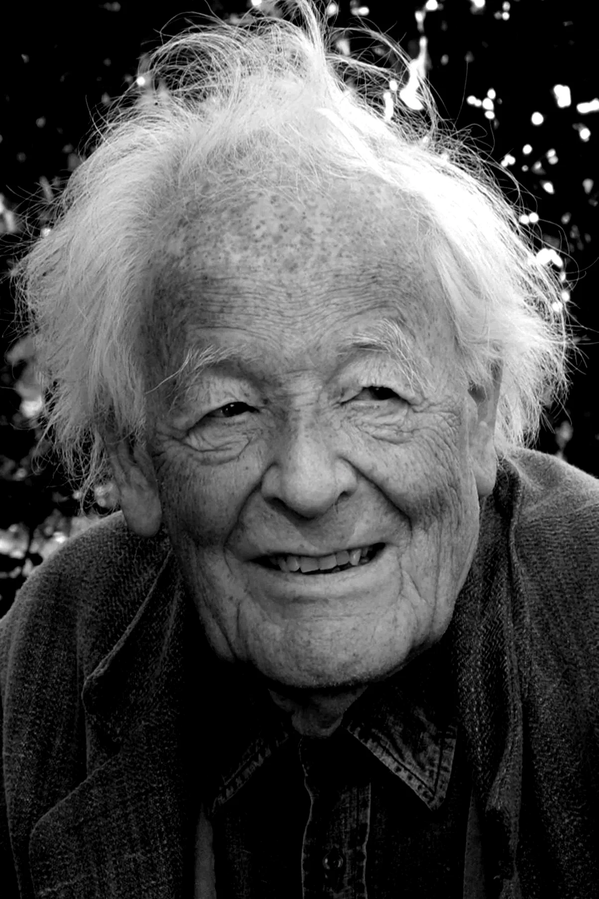  Hans-jurgen Syberberg