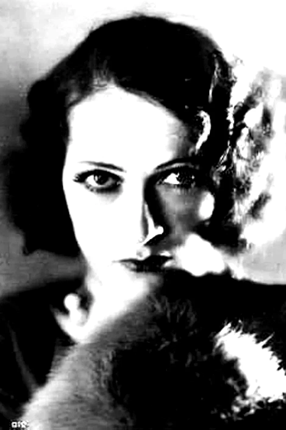  Edith Mera