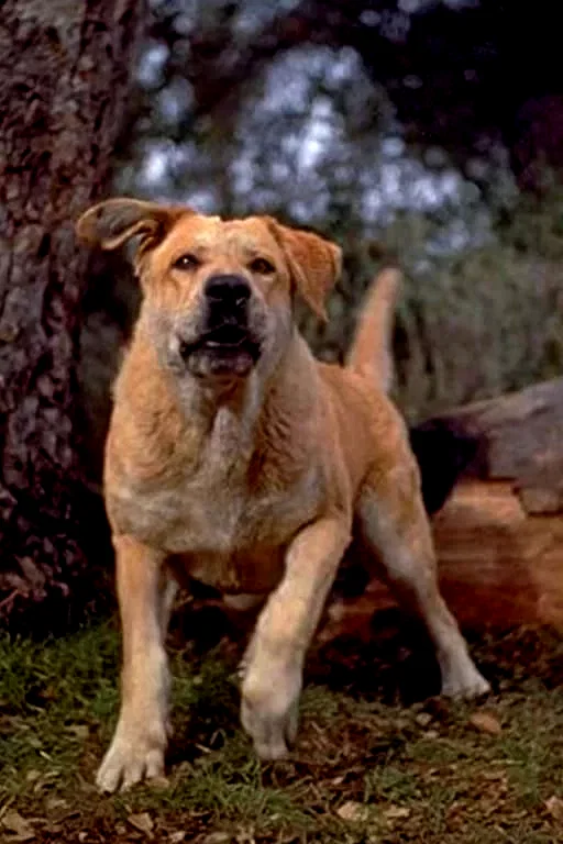  Spike