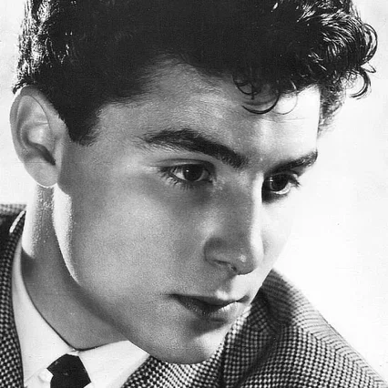  Roberto Benzi