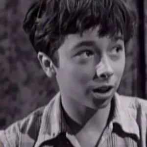  Peter J. Votrian