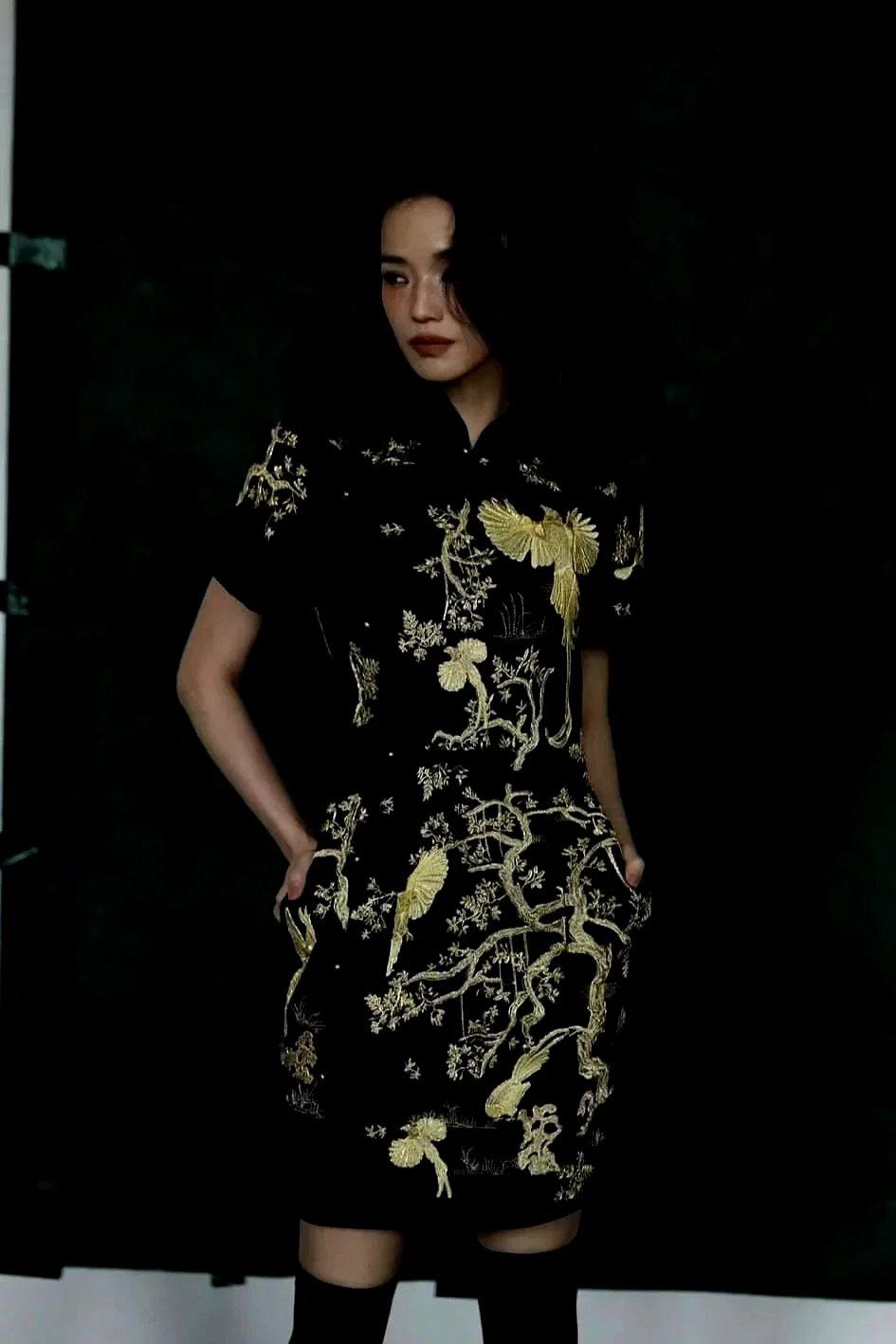 Shu Qi