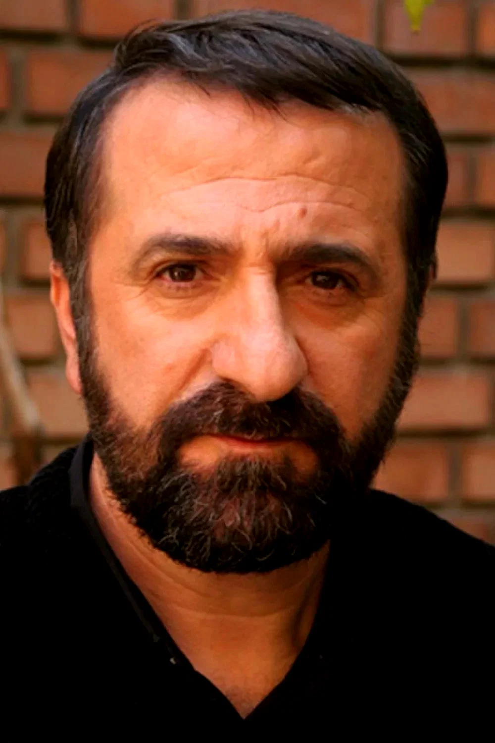  Mehran Rajabi