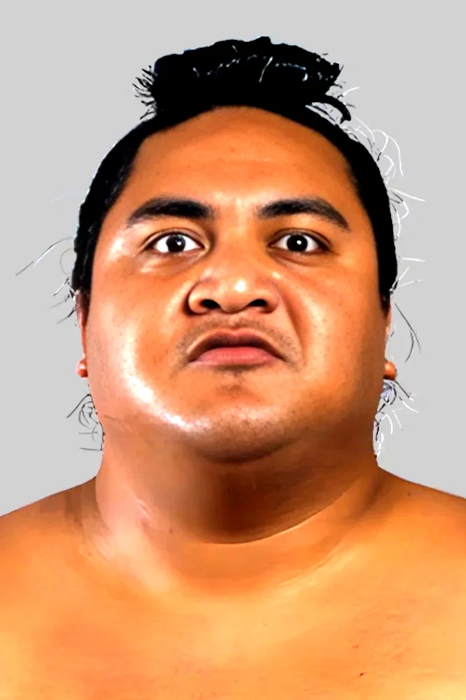  Yokozuna