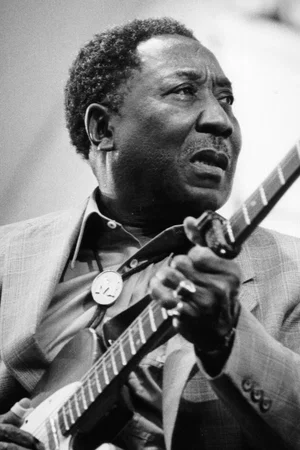 Photo de  Muddy Waters