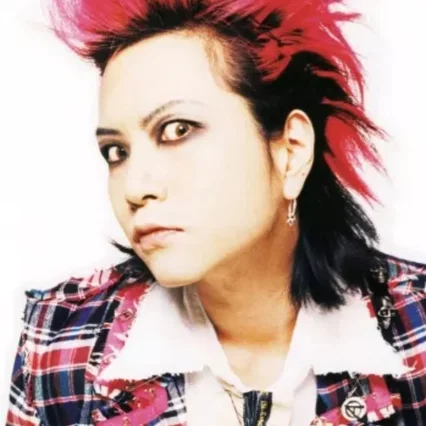  Hide