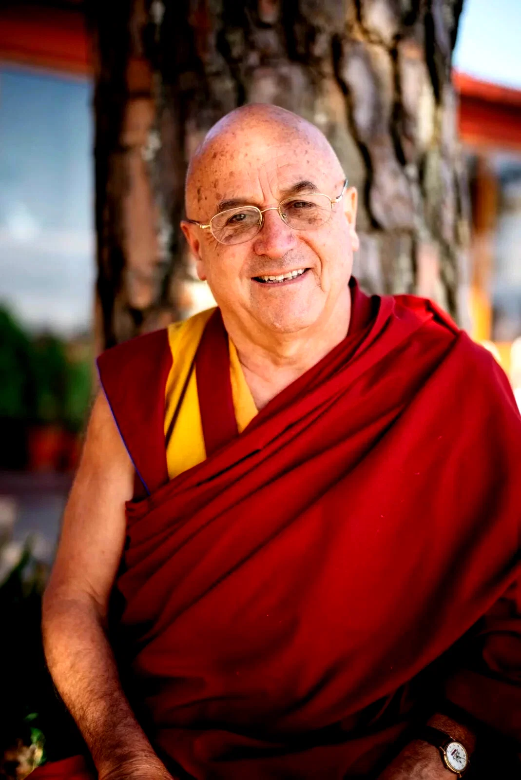  Matthieu Ricard