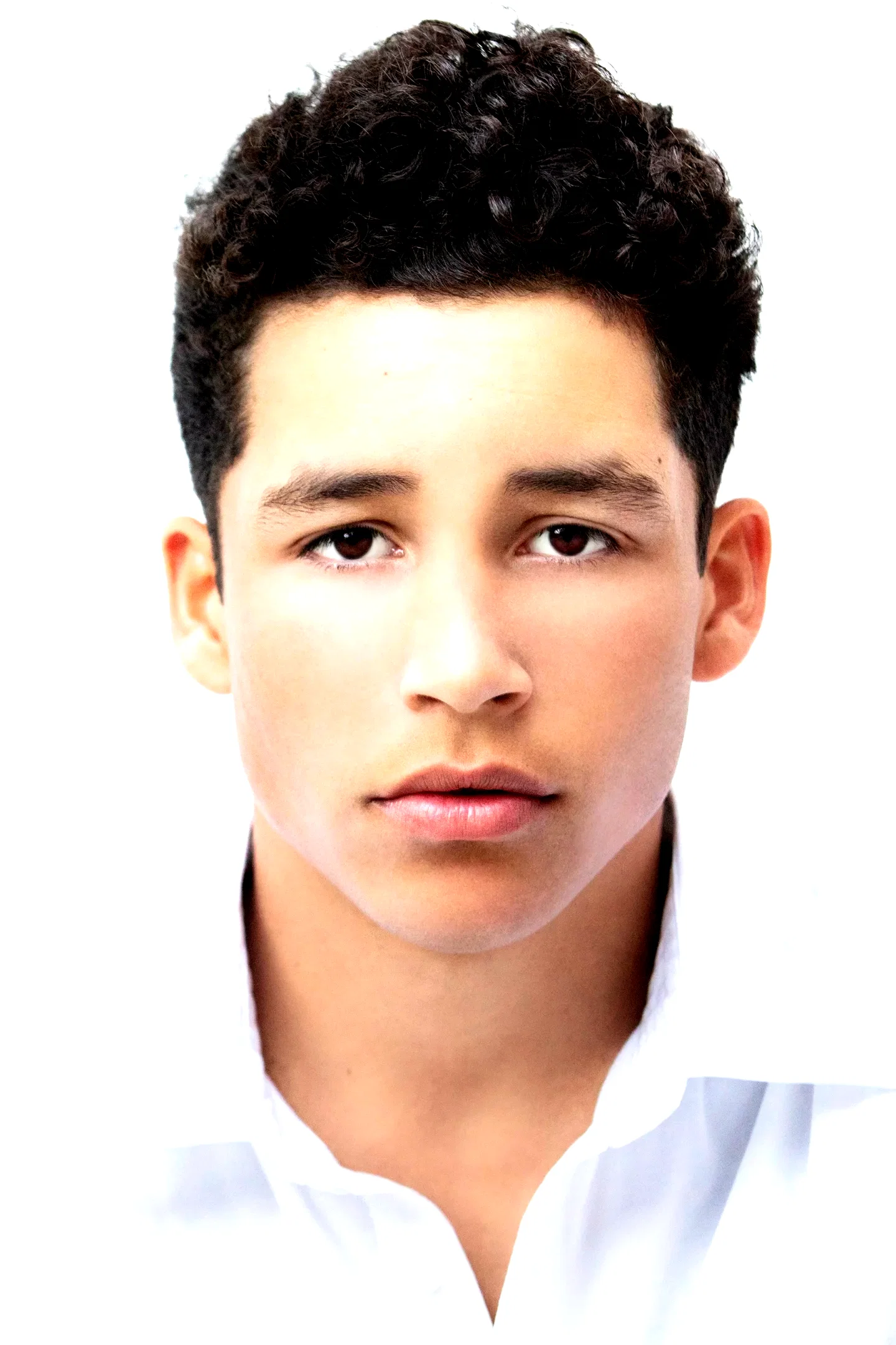  Andrew Liner