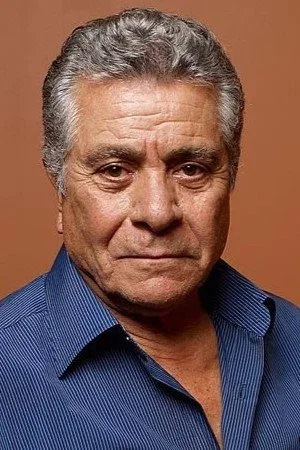  Behrouz Vossoughi