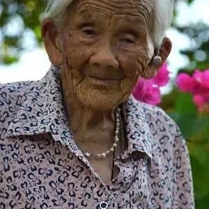  Wei Shaolan