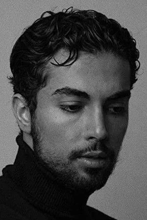  Shervin Alenabi