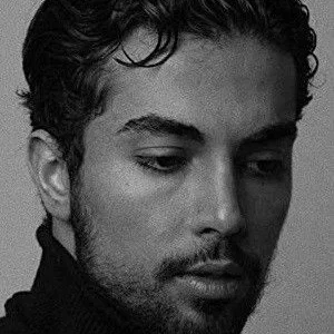 Shervin Alenabi