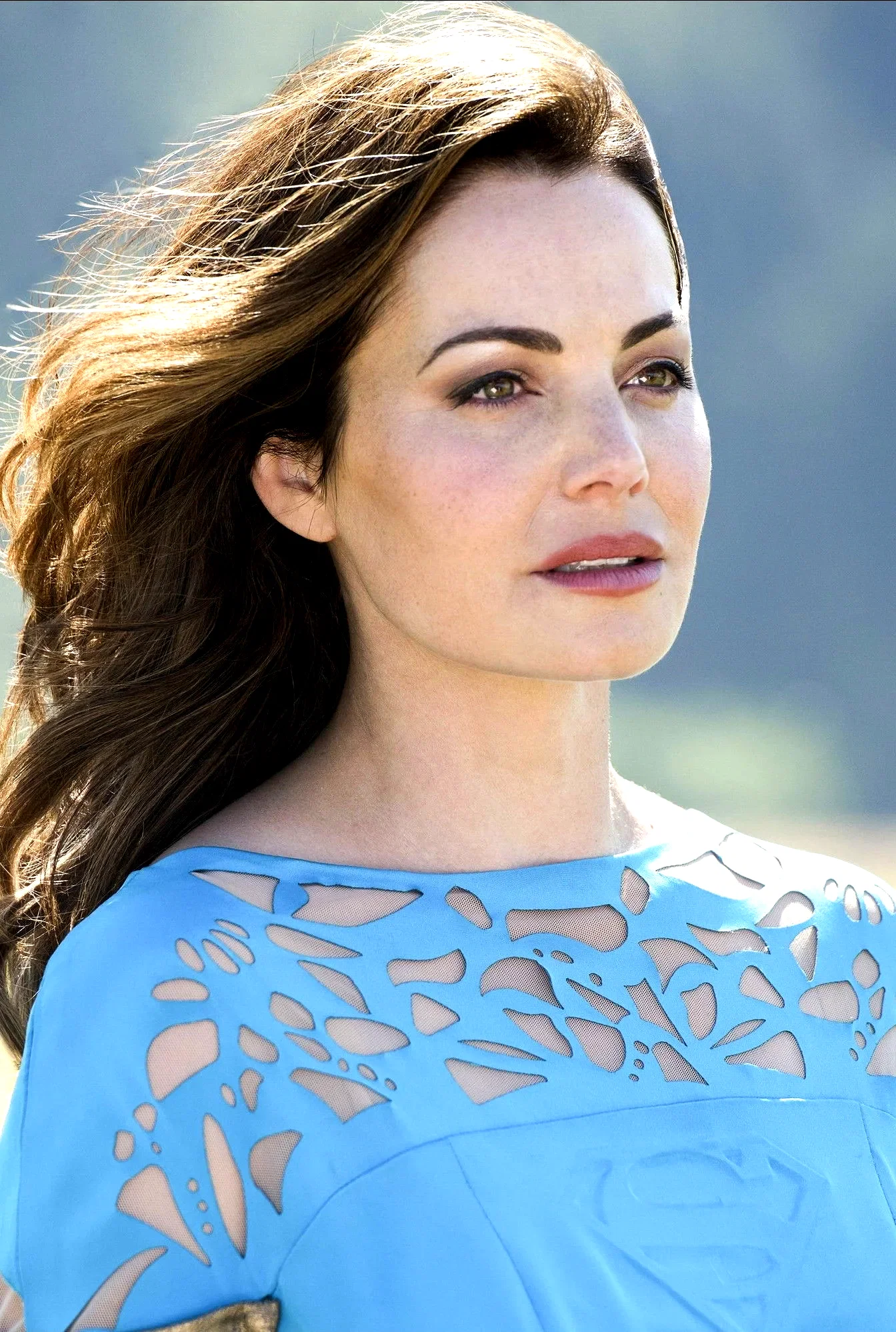  Erica Durance