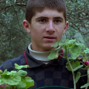 Photo star :  Babek Ahmed Poor