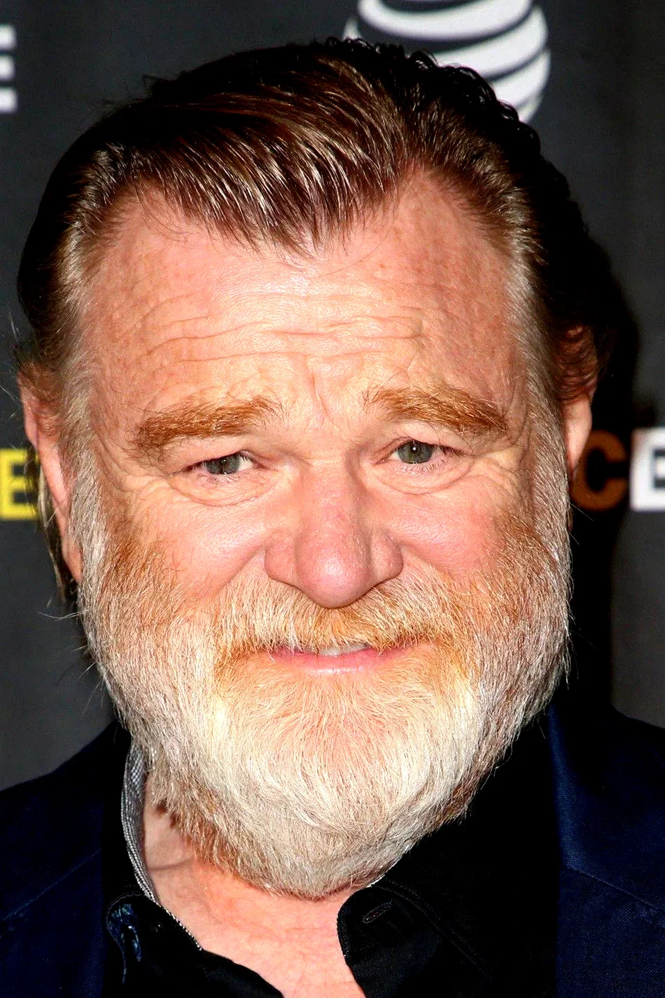 Brendan Gleeson