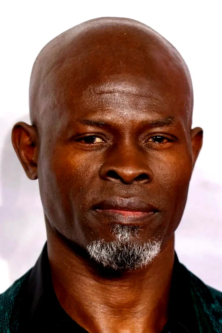 Djimon Hounsou