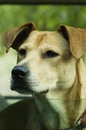  Lucy