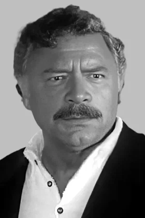 Niksa Stefanini