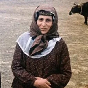  Margo Gvaramadze