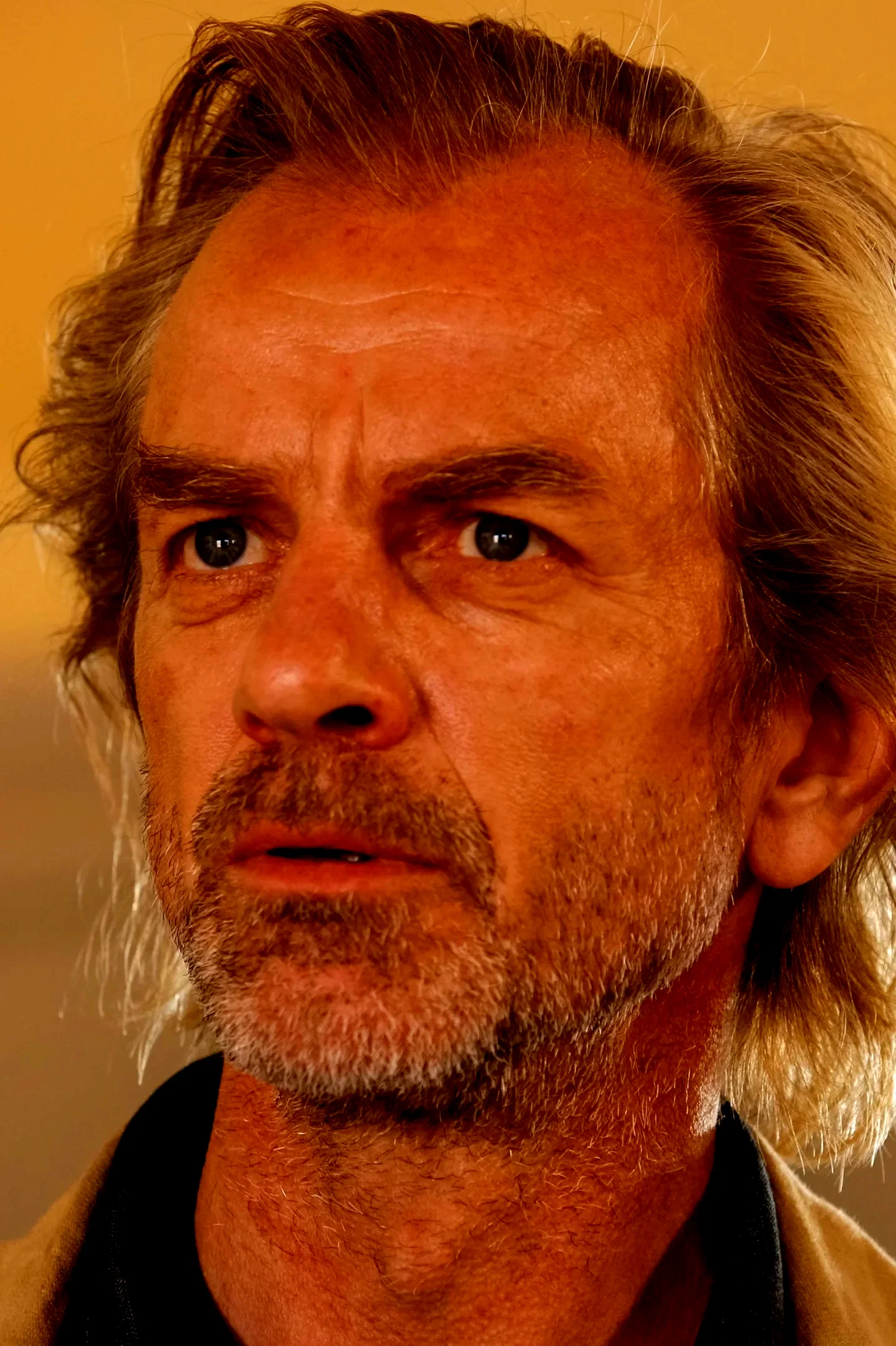 Magne Havard Brekke