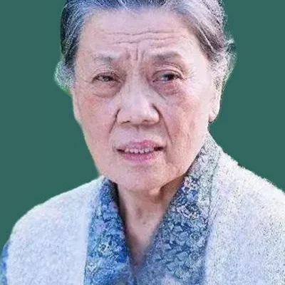  Jin Shuyuan