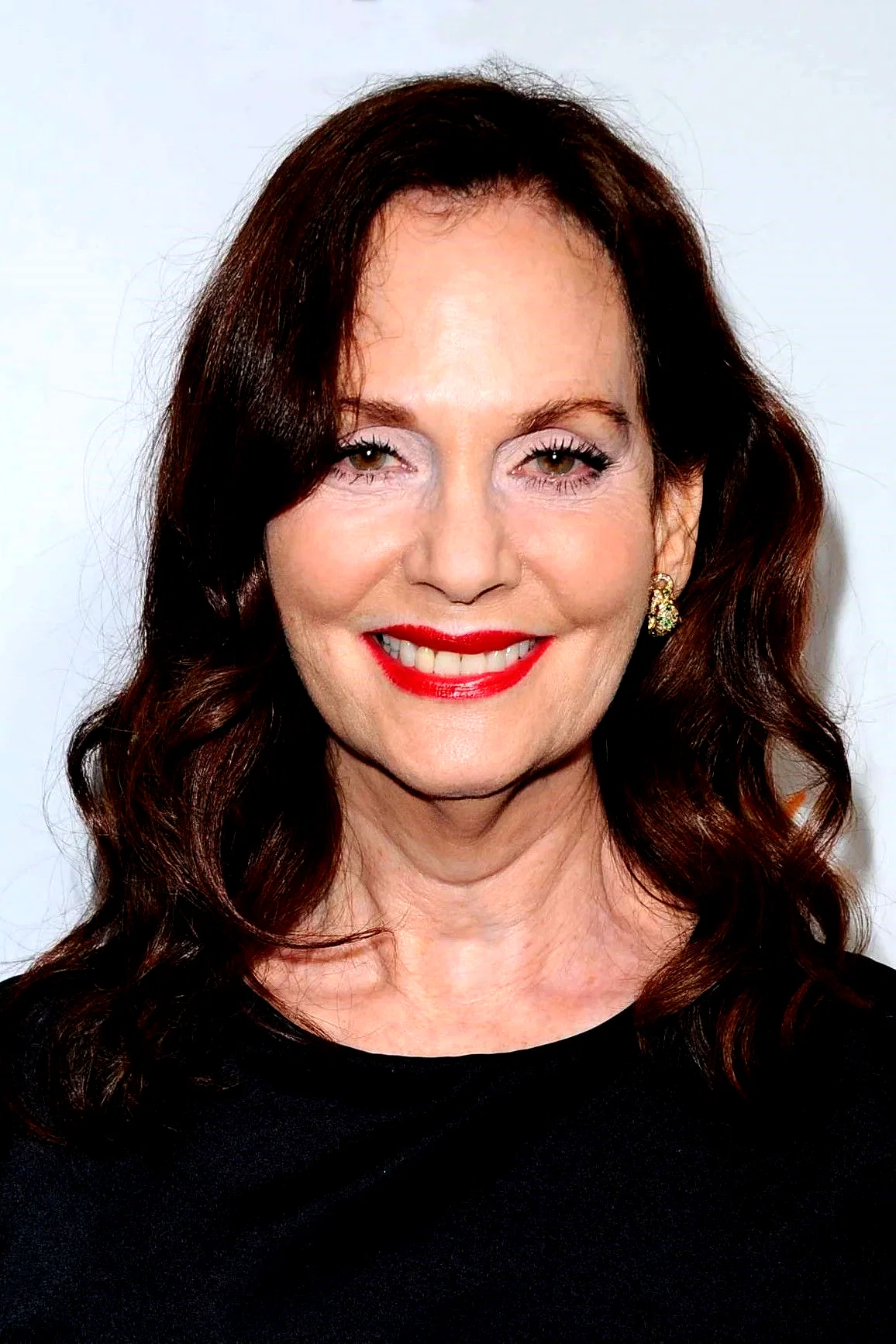 Lesley Ann Warren