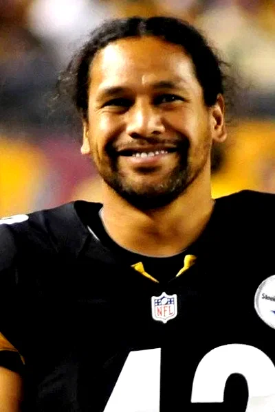  Troy Polamalu