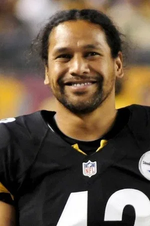  Troy Polamalu photo