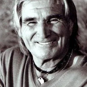  Vojislav Govedarica
