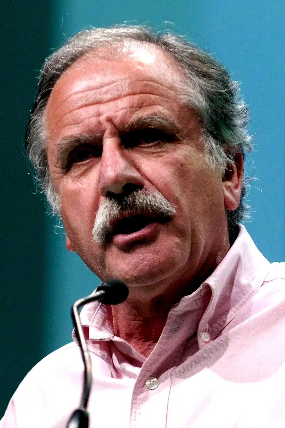  Noël Mamère