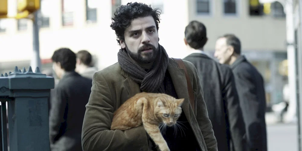 10 films avec des chats mignons