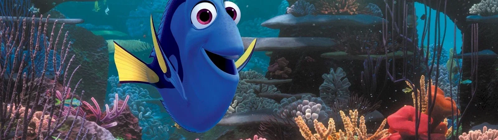 Les 10 films les plus vus au cinéma en 2016