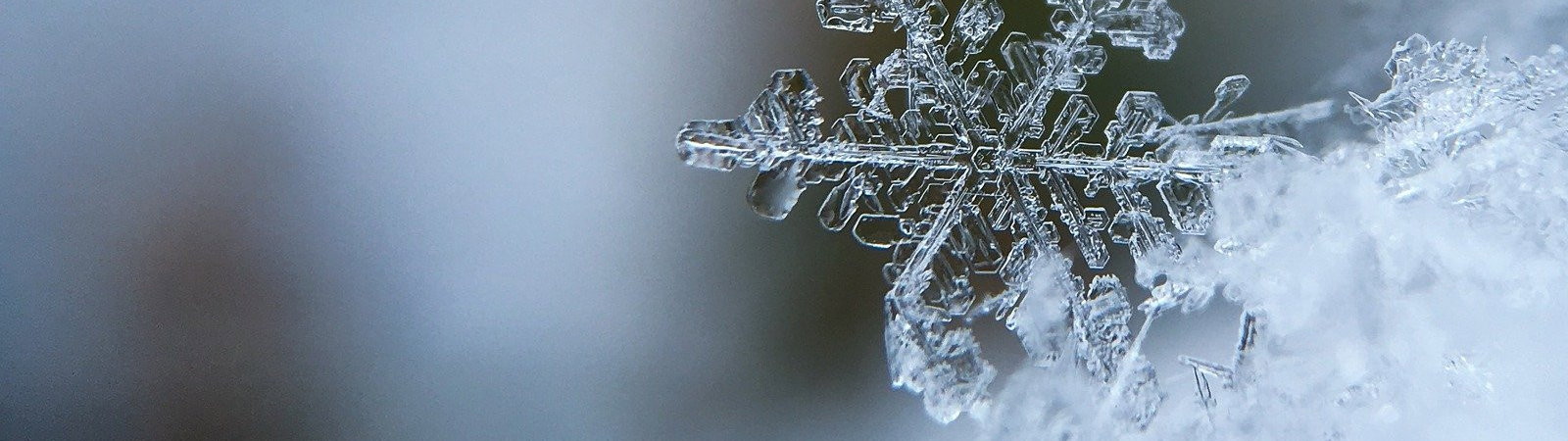10 films qui donnent froid
