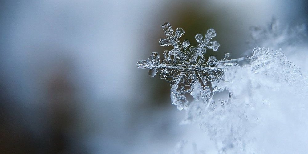 10 films qui donnent froid