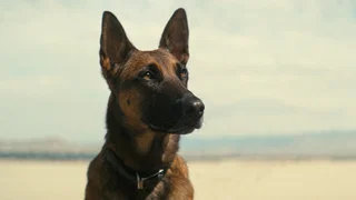 Image de La Radio