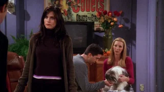 Image de Celui qui n'aimait pas les chiens