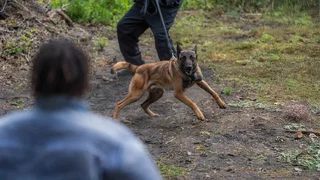 Image de Keyser Söze