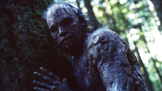 Image de Détour