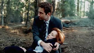 Image de Requiem