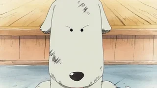 Image de Situation désespérée ! Morge, le dresseur de fauves contre Luffy !
