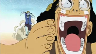 Image de Les glorieux guerriers ! Les combats acharnés de Sanji et Usopp !