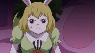 Image de Le sommeil agité de l'Impératrice. Opération de sauvetage pour Brook !