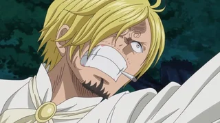 Image de Il faut sauver le Sunny. Chopper et Brook luttent héroïquement !