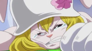 Image de Je reviendrai. Luffy part jouer sa vie !