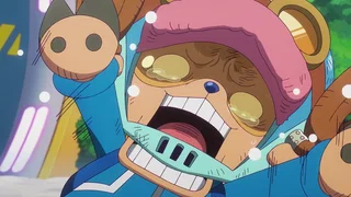 Image de Rayez Egghead de la carte ! Le Buster Call est lancé !