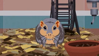 Image de Le Retour de Lemmiwinks